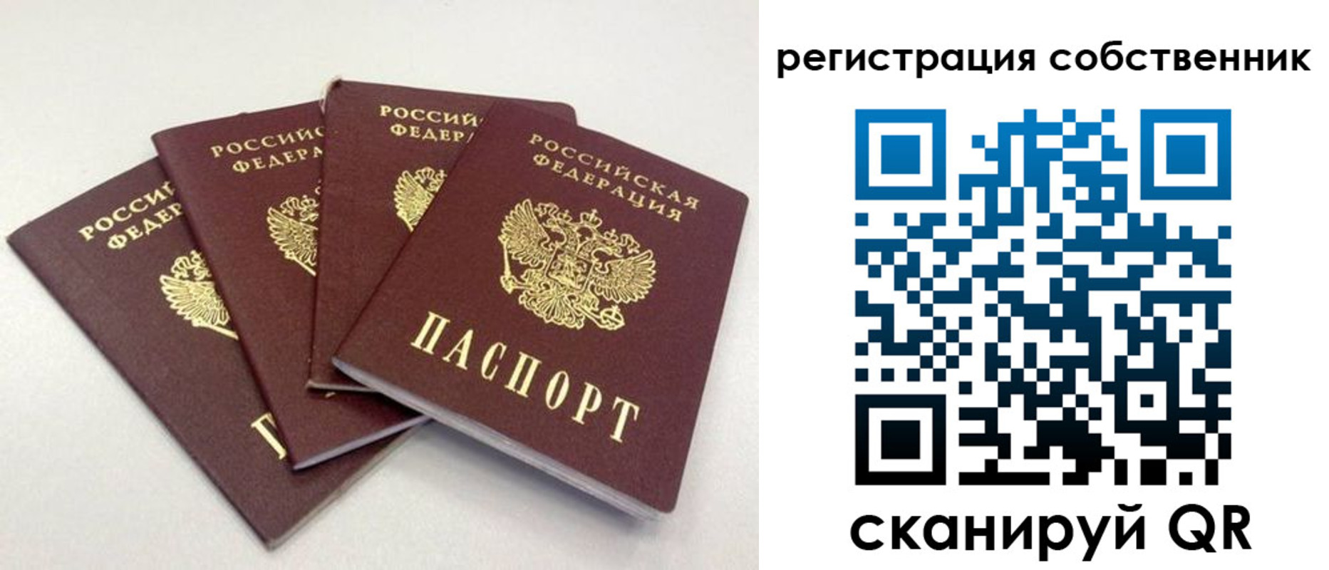 прописка для школы в Котовске